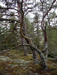 P5030056.jpg